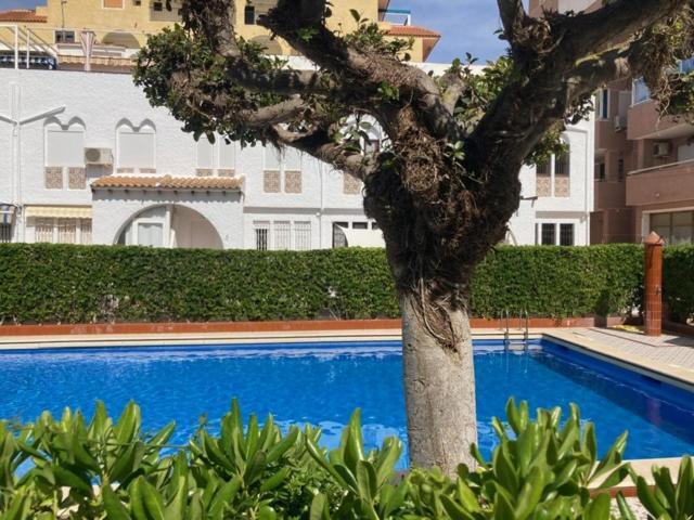 Casa Torrevieja La Mata Villa Exterior foto